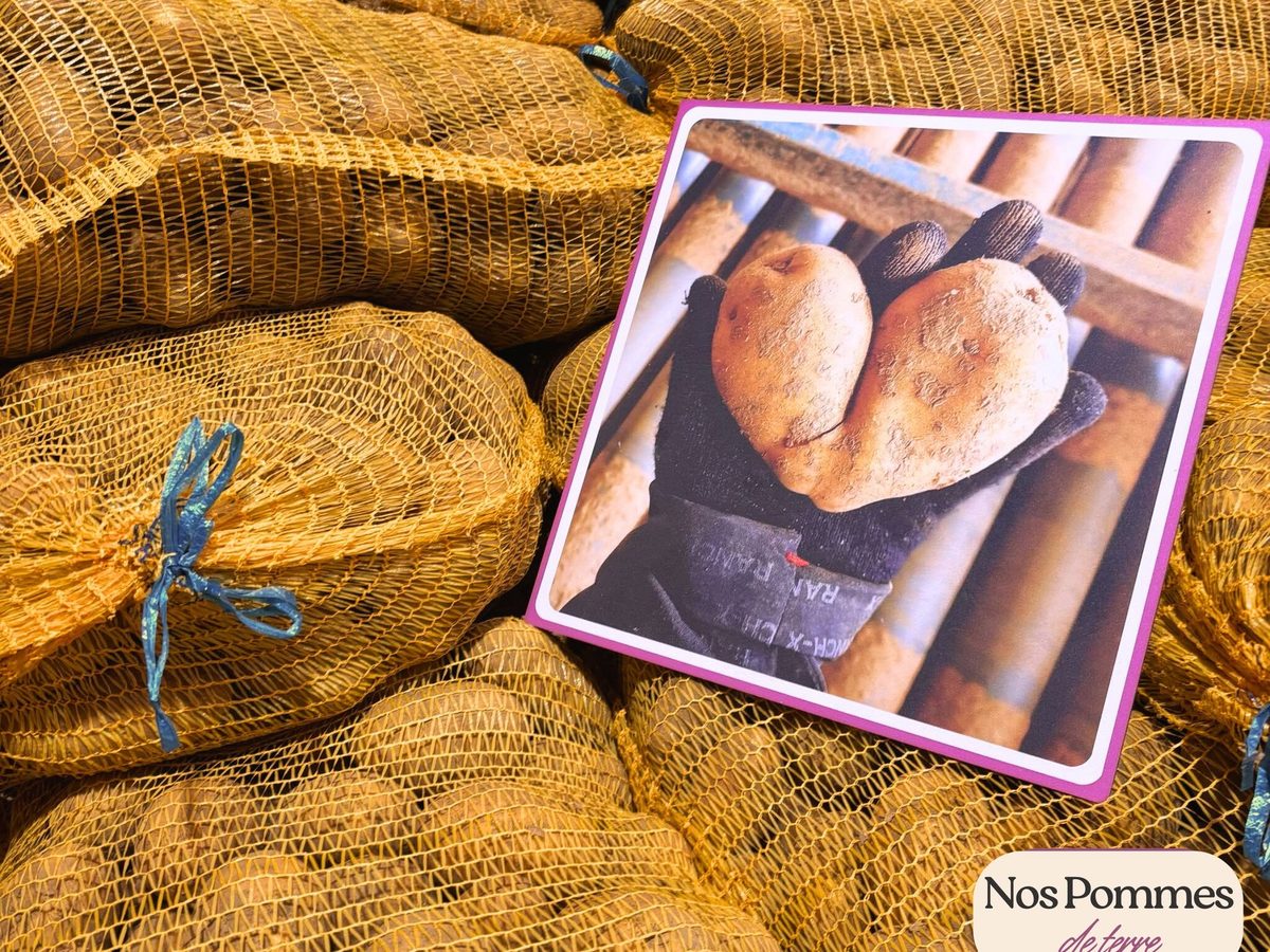 Nos pommes de terre